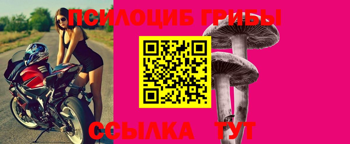 Галлюциногенные грибы мицелий  Псилоцибиновые грибы MAGIC MUSHROOMS  Вход с VPN  закладки  Ачинск 